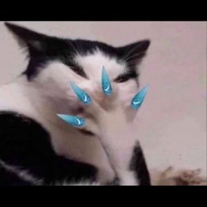 Meet your Posher, Alaina